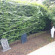 Illustration for article titled Halloween Decorations From a Few Neighborhoods